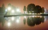 Foggy Night_35143-45